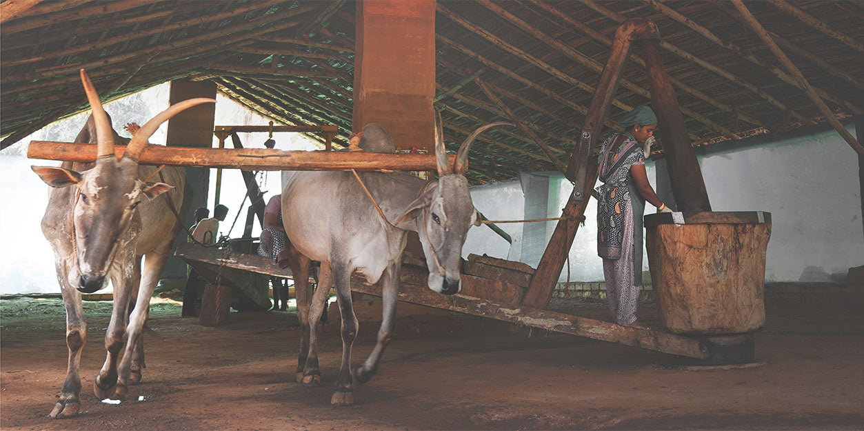 Bull Driven Oils