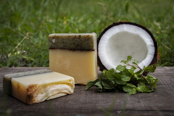Coconut Milk and Mint
