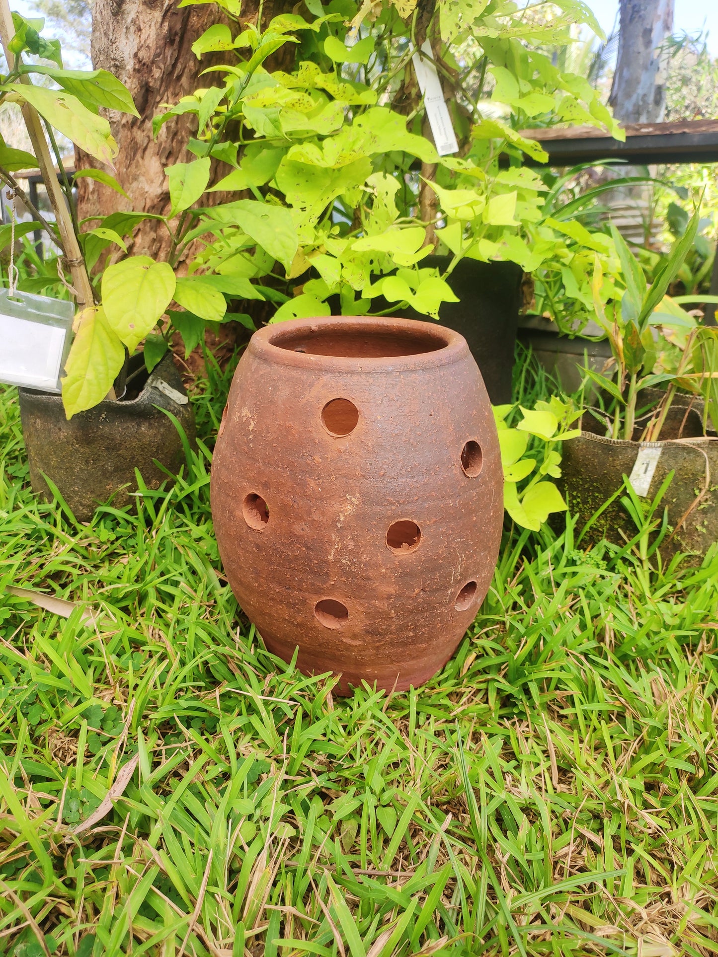 Hanging Pot Egg Shape - Los