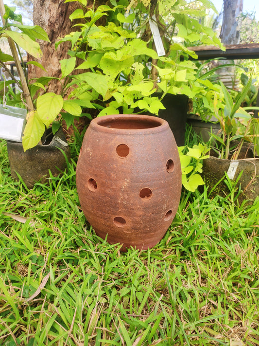 Hanging Pot Egg Shape - Los