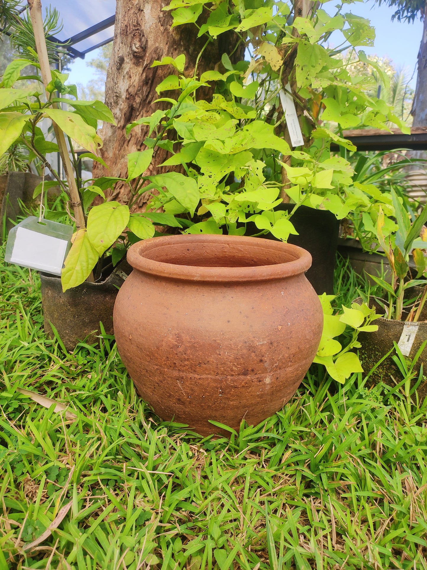 Ball Pot With Neck (Small) - Leros