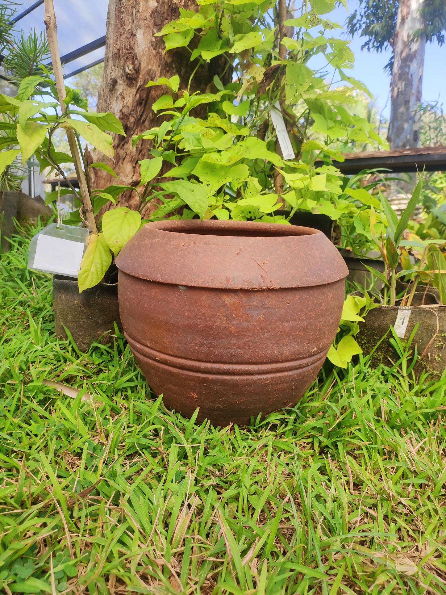 Candle Pot Plain (Medium) - Lefkada