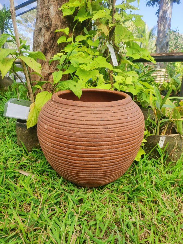 Candle Pot With Ribs (Medium)