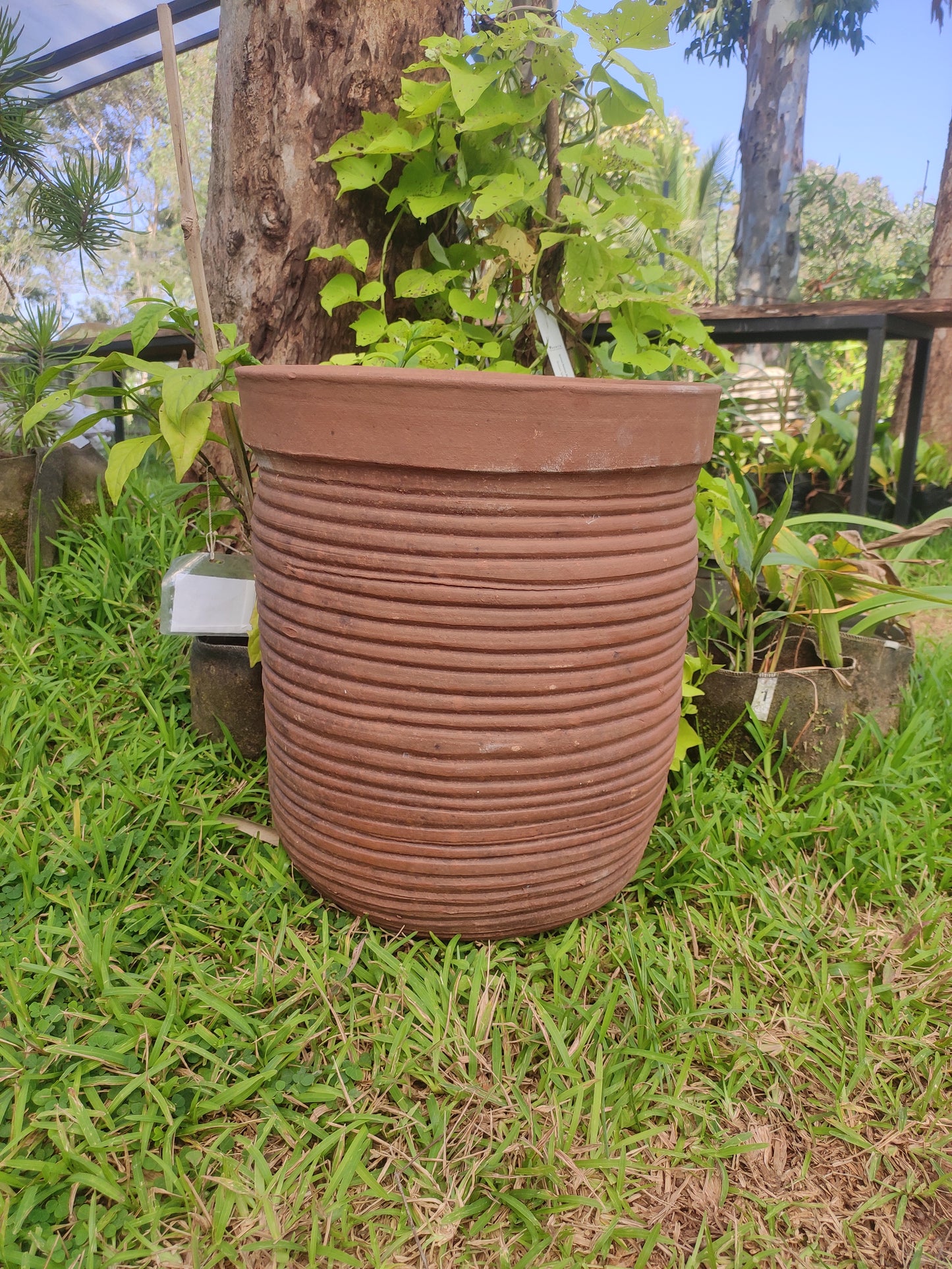 Cantala Cylinder Pot With Small Ribs (Medium) - Iraklia
