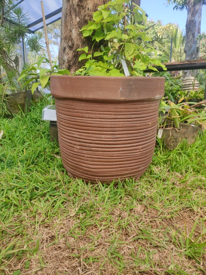 Cantala Wide Cylinder Pot With Small Ribs (Medium) - Therasia