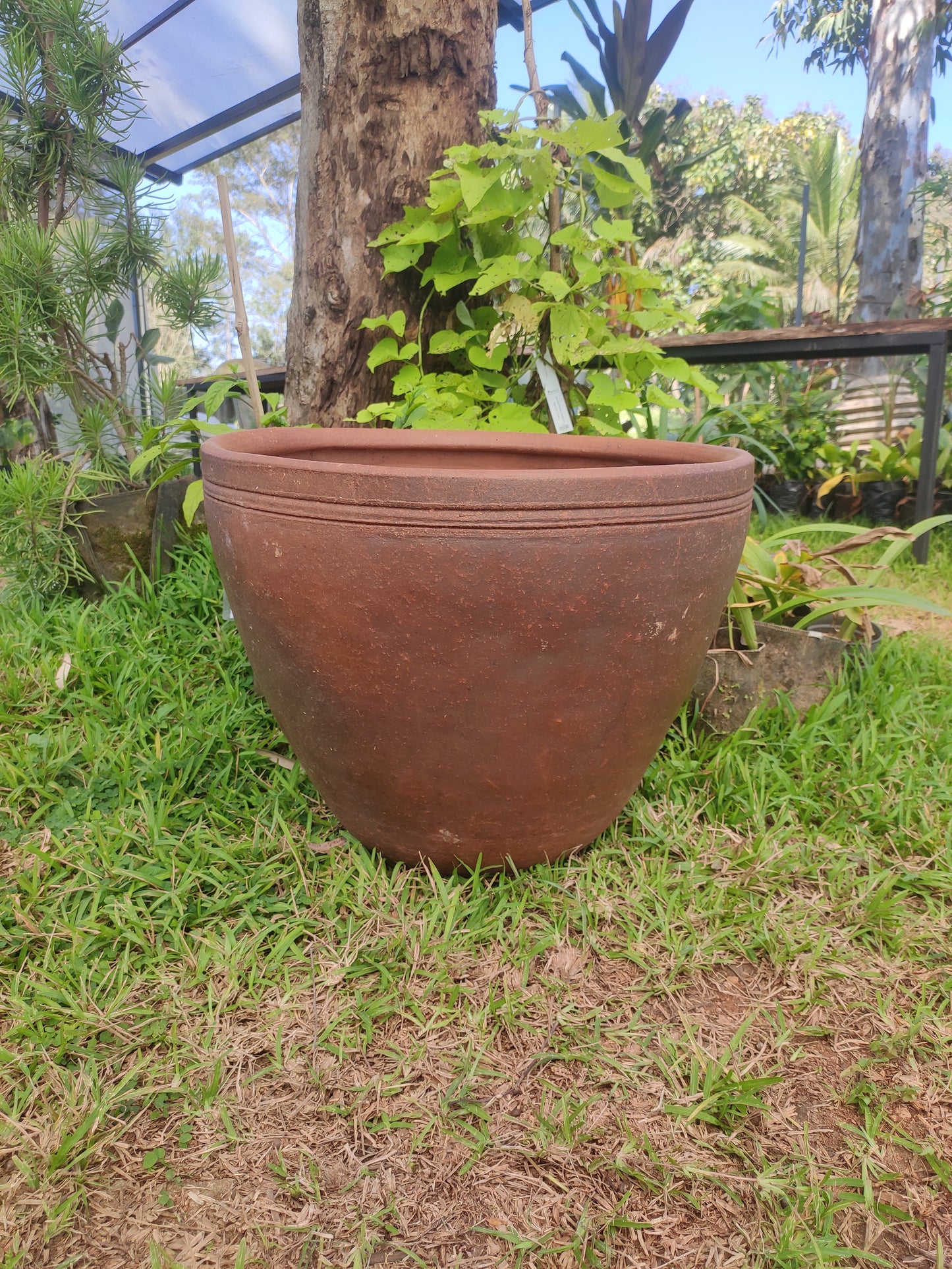 Wide Pot (Big) - Lesbos