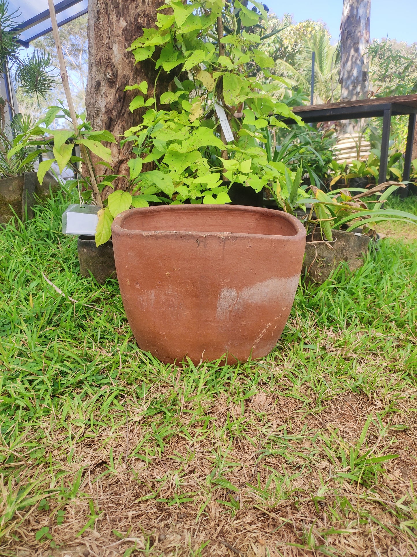 Challenge Pot (Small) - Symi