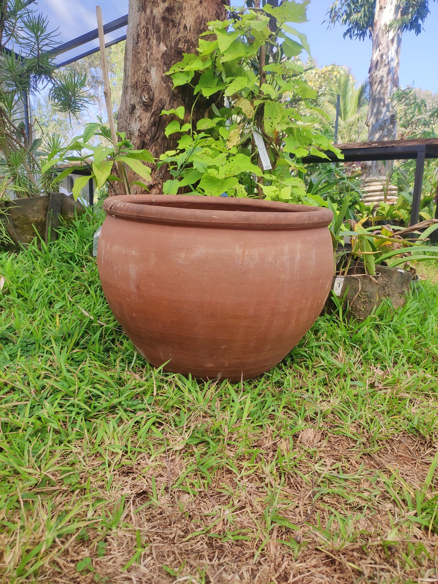 Ball Pot With Neck (Medium) - Meganisi