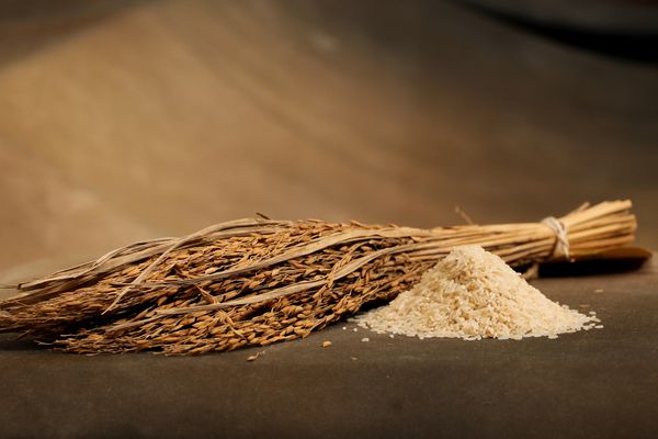 Sidda Sanna Unpolished Rice 1 kg