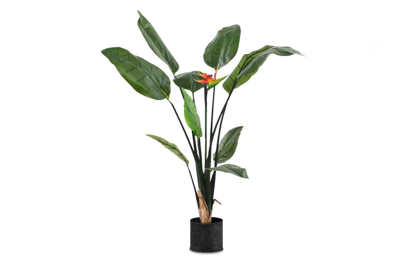 Strelitzia nicolai (Bird of Paradise White Tree Bag) (21" x 21")
