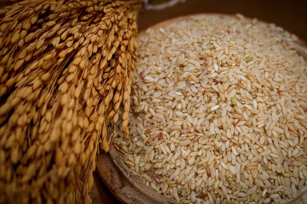 Chinnanponni Rice 1 kg