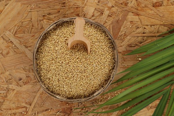 Foxtail Millet 500 gm