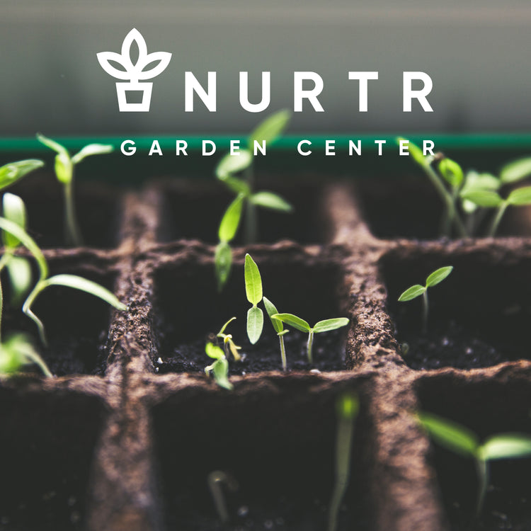 NURTR - Garden Center