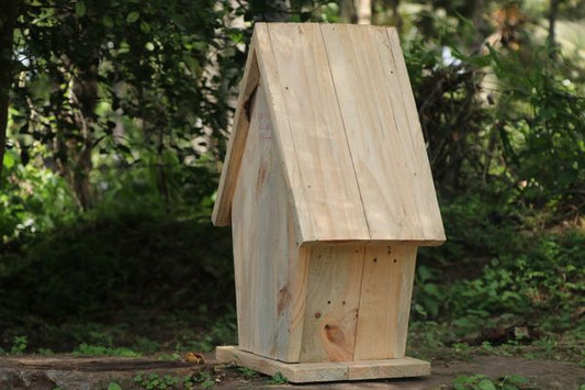 Bird Feeder
