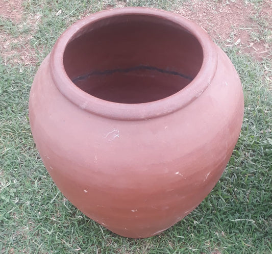 Bird planter pot