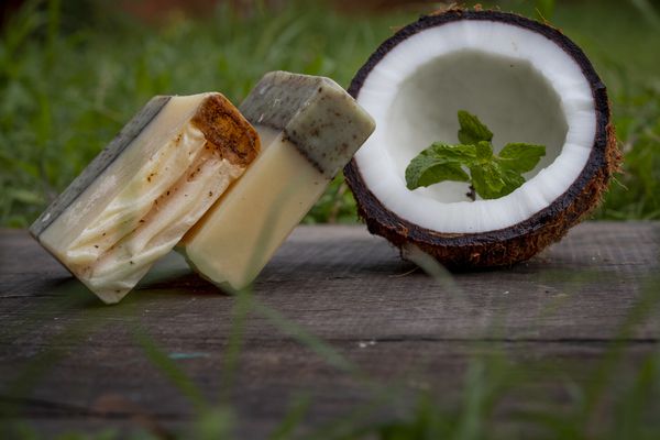 Coconut Milk and Mint