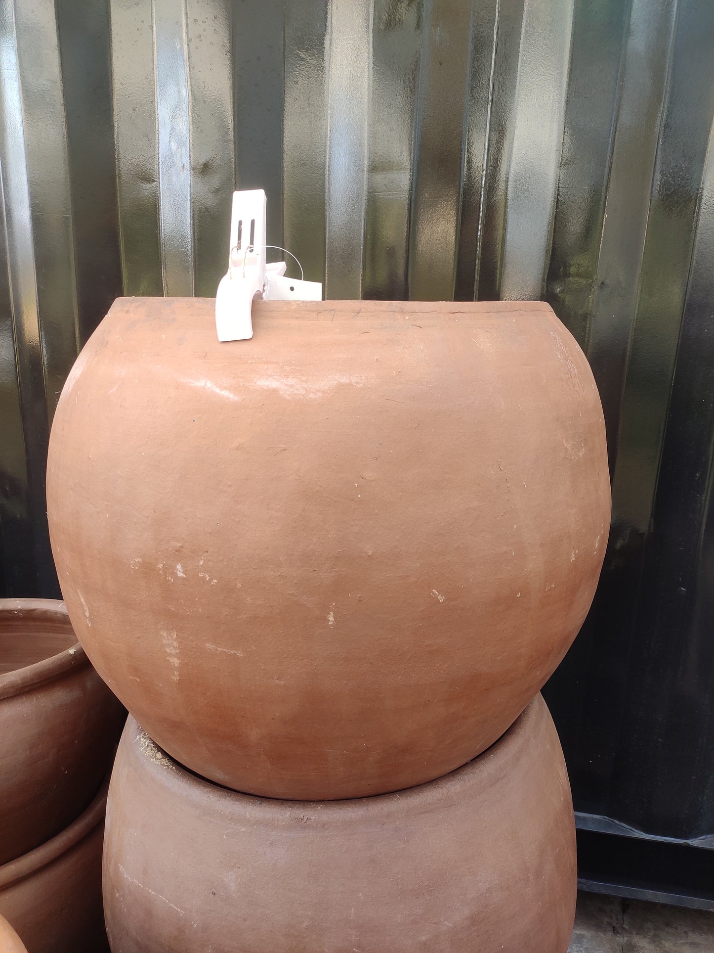 Ball Pot Without Neck (Large) - Paxi