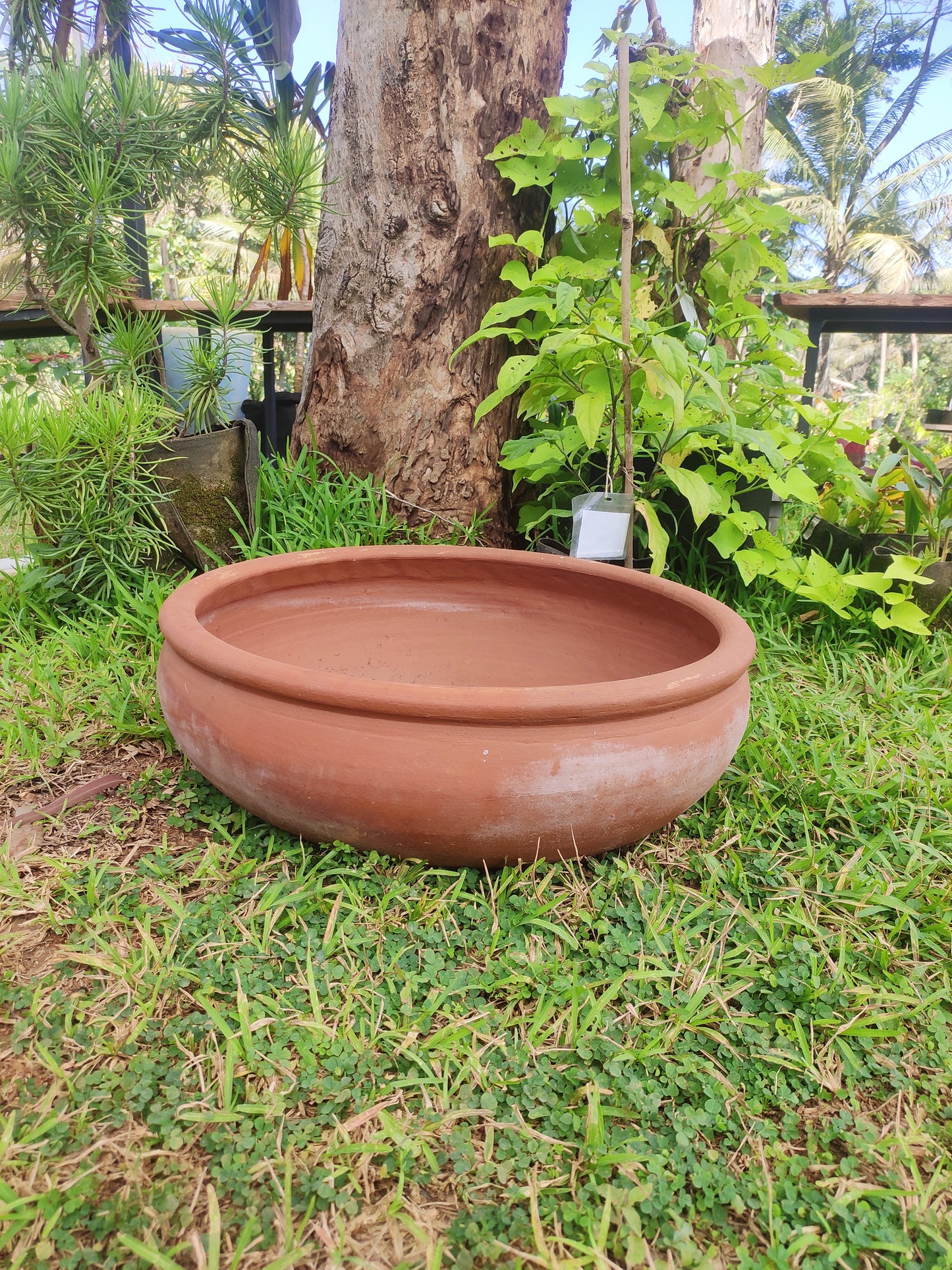 Lotus Pot  (Medium) - Mathraki