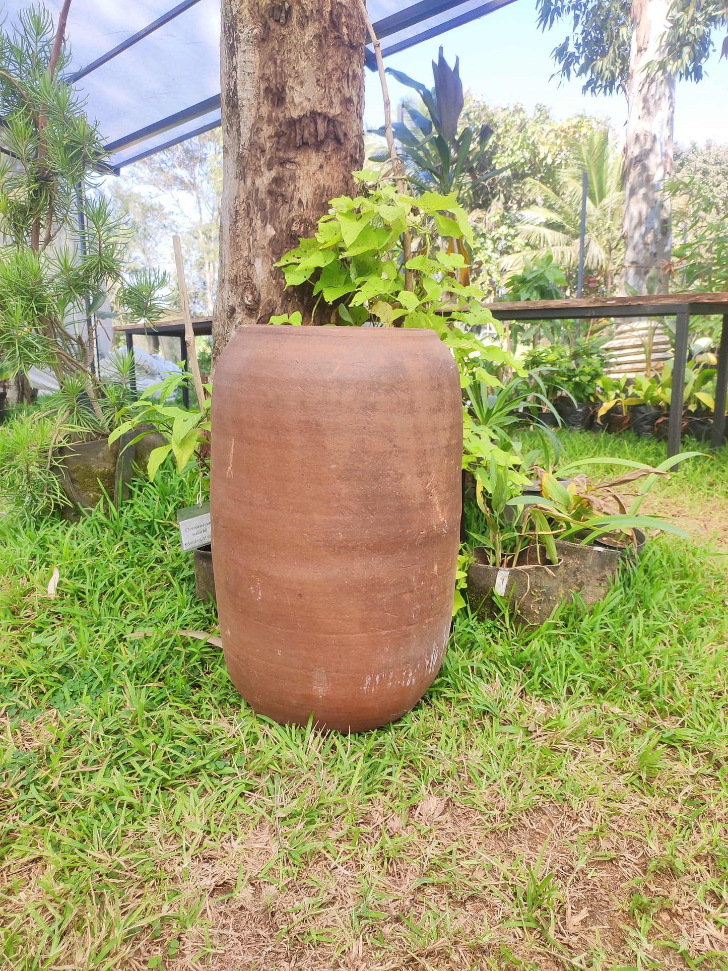 Cylinder Pot Plain Long - Antiparos