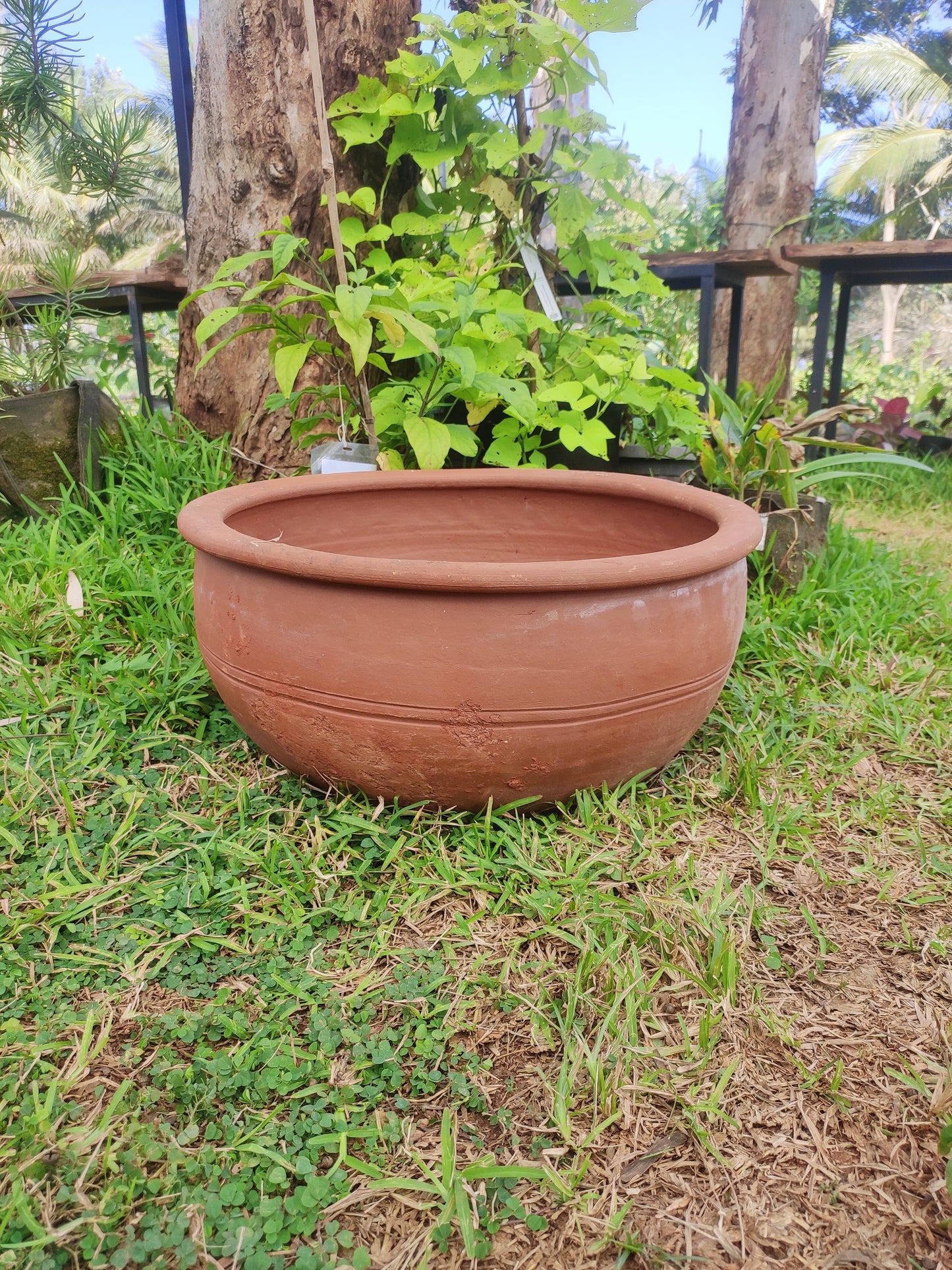 Lotus Pot (Large) - Elafonissos