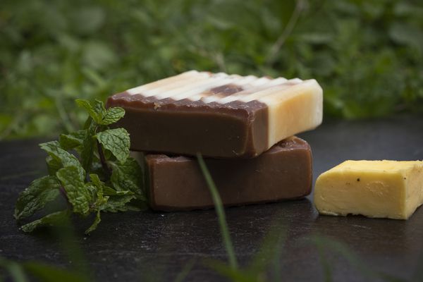 Mint and Cocoa Butter