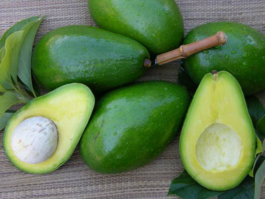 Butter Fruit Avacado-Green